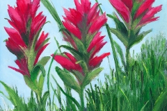 Indian Paintbrush ©E. Lynette Fransen