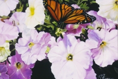 Petunias & Butterfly