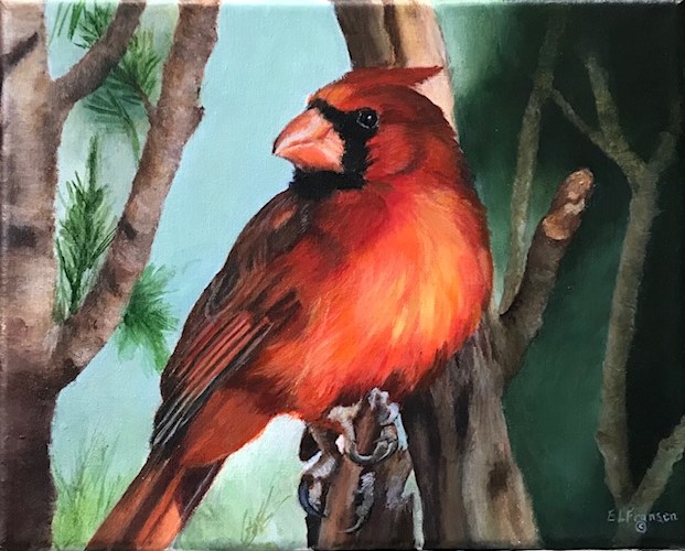 A Visitor -Cardinal painting ©E. Lynette Fransen