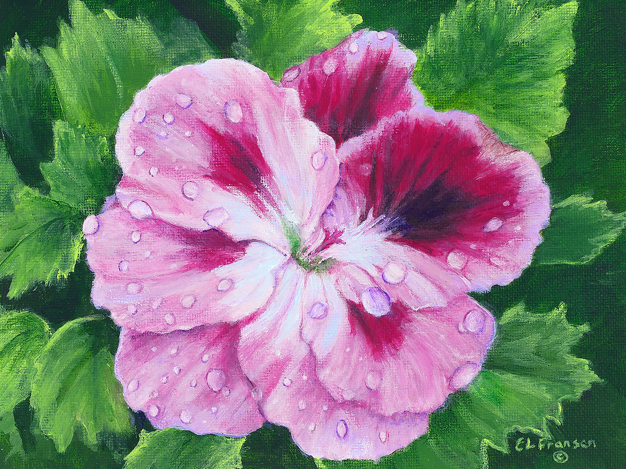 Geranium by E. Lynette Fransen