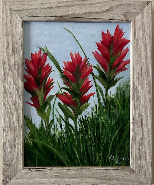 Indian Paintbrush Framed Original - E. Lynette Fransen