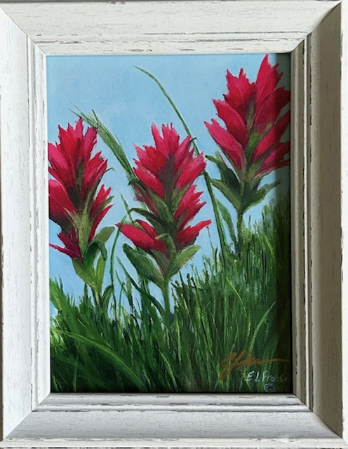 Indian Paintbrush mini print with white frame - ©E. Lynette Fransen