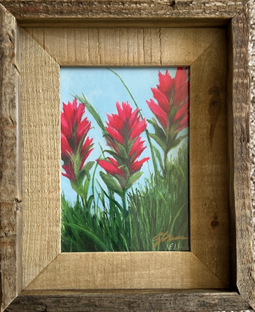 Indian Paintbrush mini print with barnwood frame