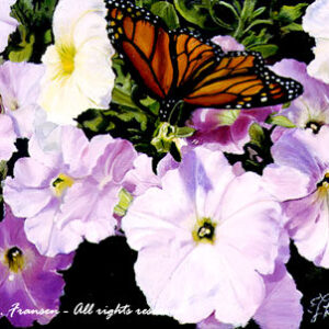 Petunias & Butterfly