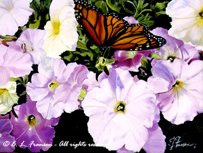 Petunias & Butterfly