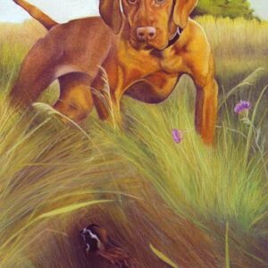 Up Close and Personal