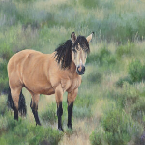 The Wild Buckskin, by E. Lynette Fransen