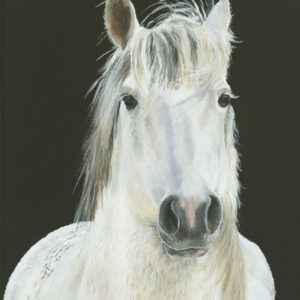 Renegade, by E. Lynette Fransen